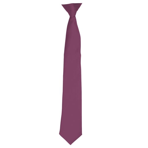 Premier 'Colours' Satin Clip Tie Thumbnail
